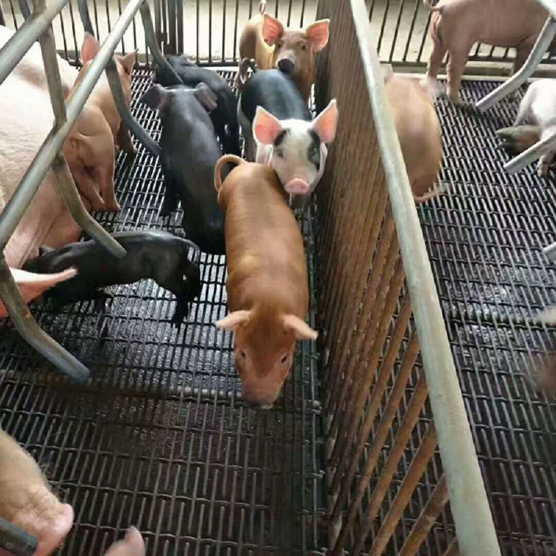 ��(sh��)�Hʹ�ÈD