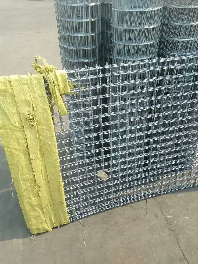 ��\܈���W(w��ng)